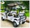 Гольфкар GreenCamel Сонора A40 New (4 seats 2500W 225/40-10' литые)