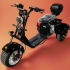 Электроцикл Citycoco Pro Trike 3000 VIP