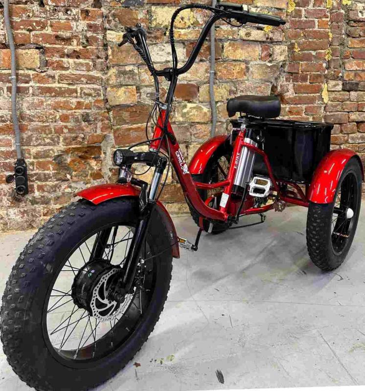 Трехколесный электровелосипед Fat Trike T (20FAT 500W 48V 12.5Ah) Трехколесный электровелосипед Fat Trike T (20FAT 500W 48V 12.5Ah)